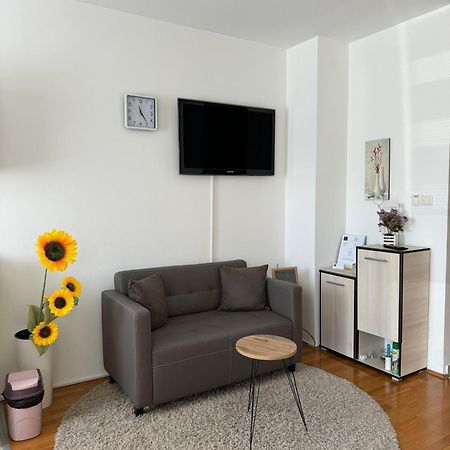 Angellina Apartmani スレムスカ・ミトロヴィツァ エクステリア 写真