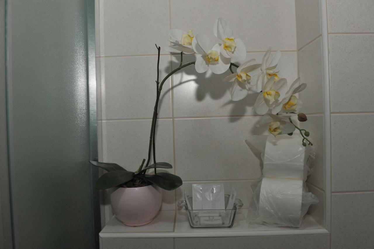 Angellina Apartmani スレムスカ・ミトロヴィツァ エクステリア 写真